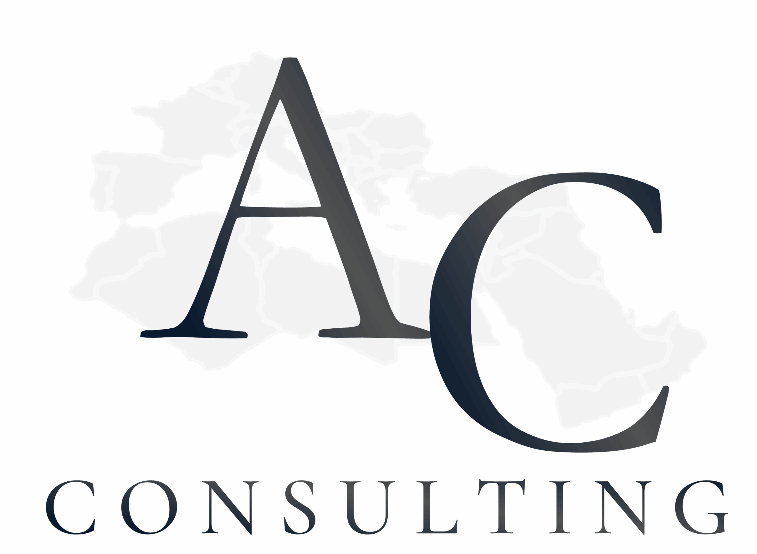 Consulting in B2B export development